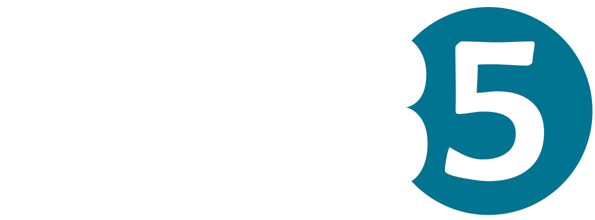 WEB5 Soluções Digitais